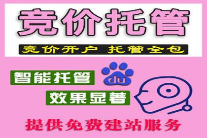 百度推广费用案例：成功案例分析及启示